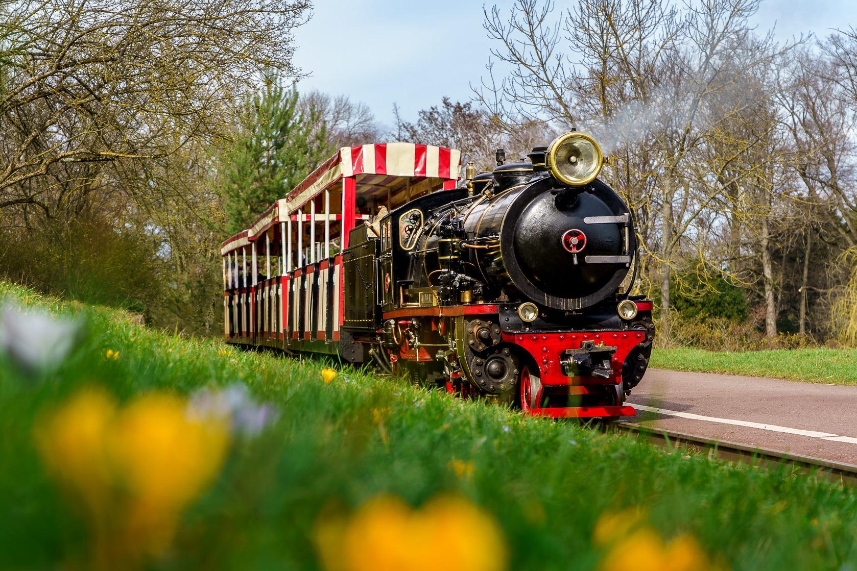 Die Dampflok Santa Maria steht neben einer Wiese.
