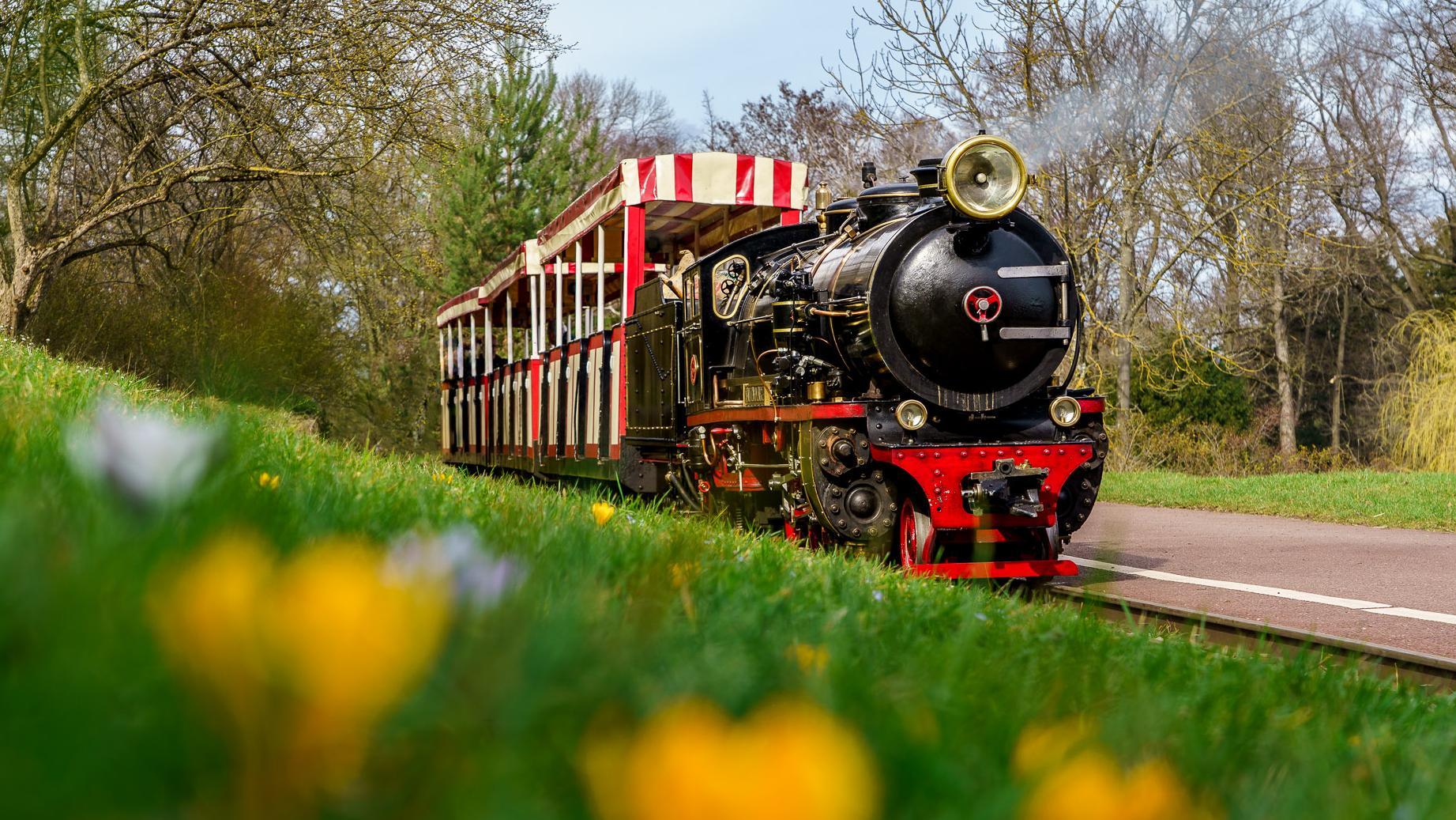 Eine kleine Dampflokomotive der Killesbegbahn fährt entlang eines Blumenbeets.